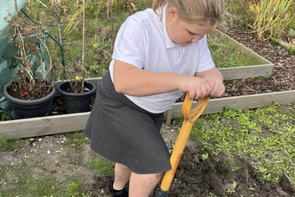 Allotment for September SQ