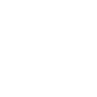Lotus flower Icon