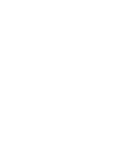 Strengthen Secure Icon
